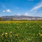 بيت للعطل Grisedale