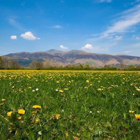 度假居 Grisedale